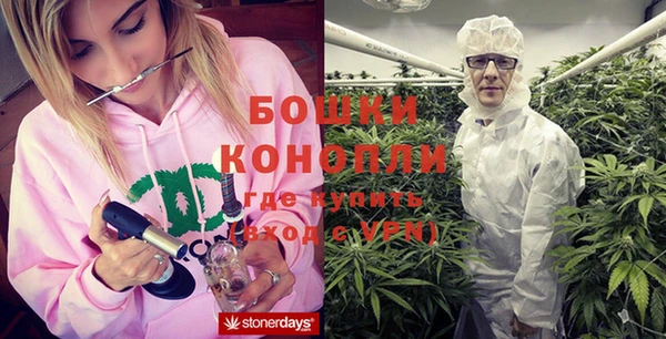 ECSTASY Медногорск