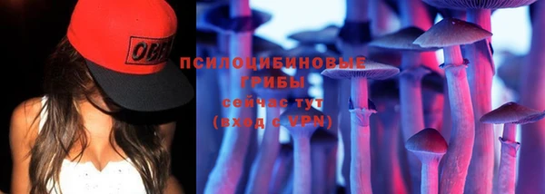 тгк Медвежьегорск