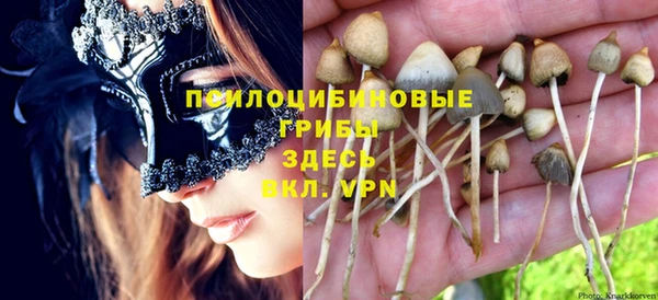 тгк Медвежьегорск