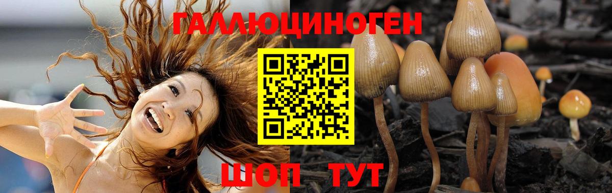 Галлюциногенные грибы Magic Shrooms  Вход с VPN  Феодосия 