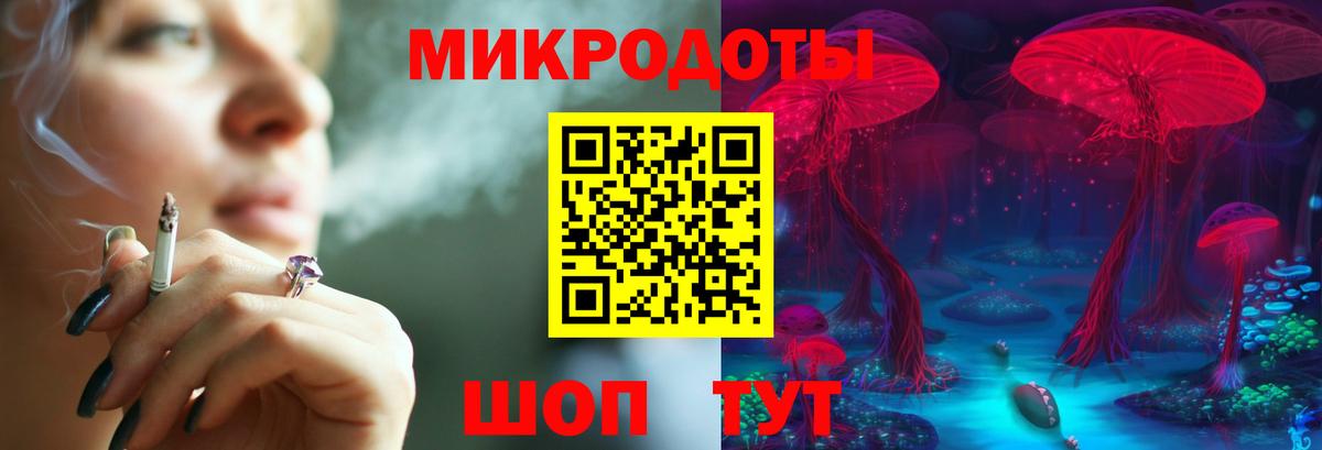 Псилоцибиновые грибы Psilocybe Феодосия
